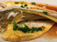 -舌尖上·霞浦滩涂海鲜·新闽菜(总店)