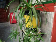 -三品尚院(贝勒府旧址店)