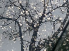 -湖南省科学技术馆