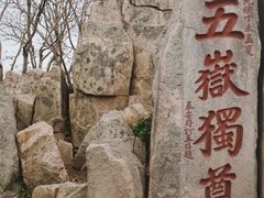 -泰山风景名胜区