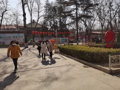 -保定市动物园