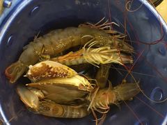 -澜悦港海鲜体验主题餐厅