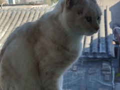 -小时光咖啡馆(北锣鼓巷店)