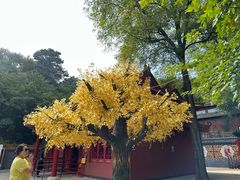 -青岩寺风景区
