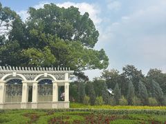 -上海鲜花港