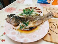 -福孕妈妈家政•月嫂育儿嫂保姆