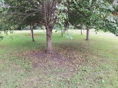 -长春公园(普阳街道)