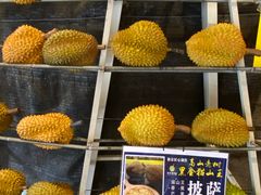 -都念榴莲·城市榴莲