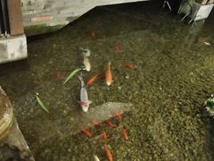 -几荷·恰似故人来(秀水广场店)