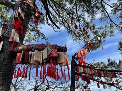 -洛阳白云山景区