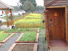 木屋广场-龙湖东院农庄(乡间小路店)