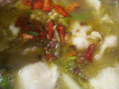 -周鱼小馆石锅酸菜鱼(活力汇店)