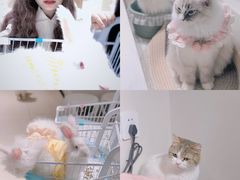 -怪兽屋·羊驼·猫咖·狗咖(俊华广场店)