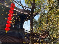 -超山青莲寺