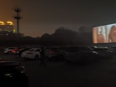 -枫花园汽车电影院(朝阳公园店)