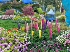 -上海共青森林公园