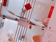 -e嘉宠物店(北大街店)