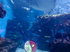 -海合安成都极地海洋公园