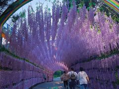 -大芦花风景区