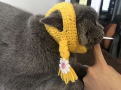-Pets First伊珊娜洗护·精致美容·家庭式寄养(新会路店)