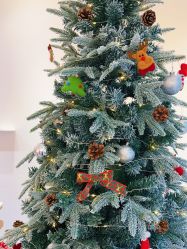 -盼兮·日式美睫沙龙