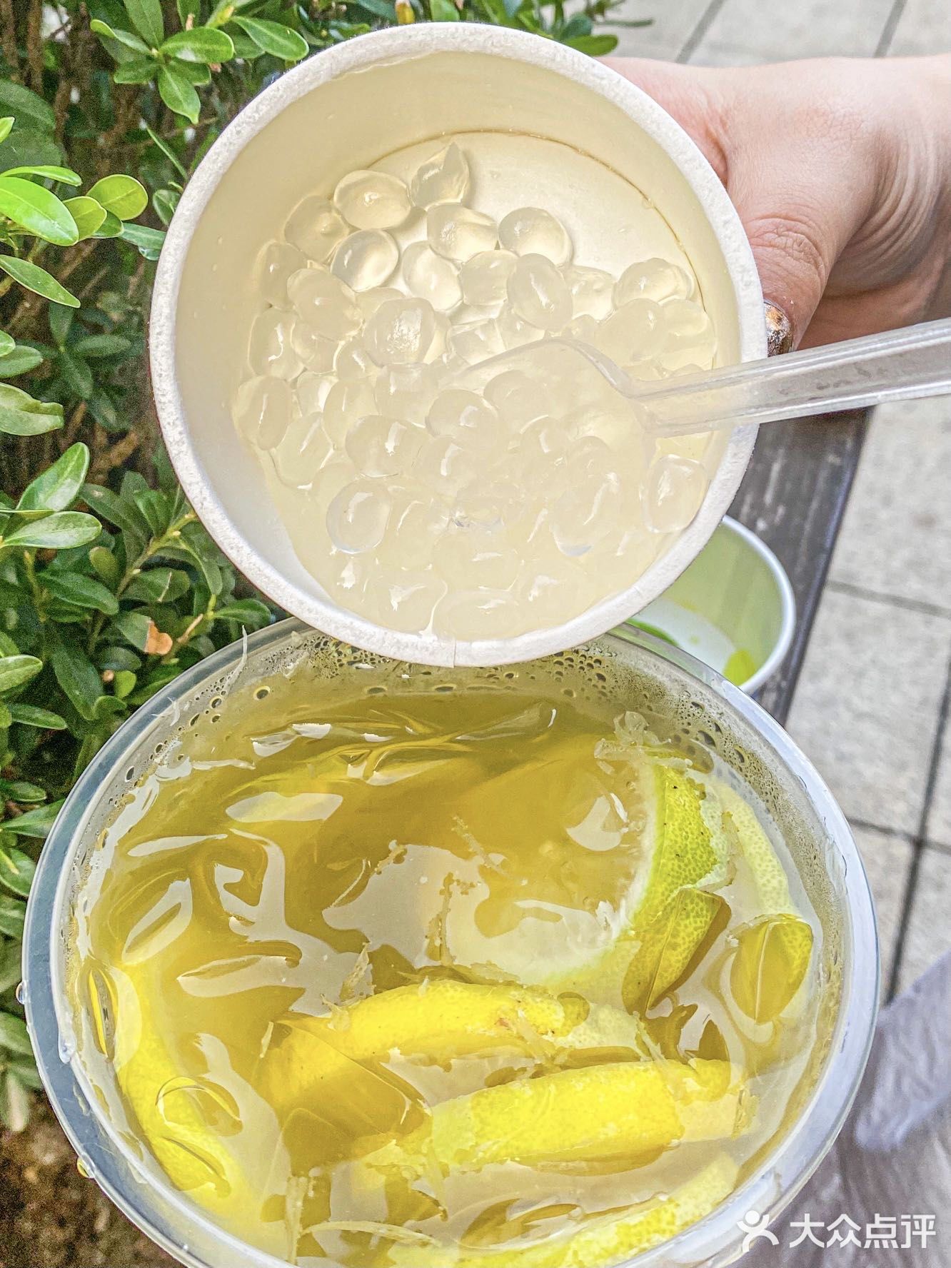 云南最好喝的帕露达来长沙啦‼️满满都是料