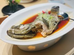 -侨美食家·40年地道粤菜(珠江新城店)