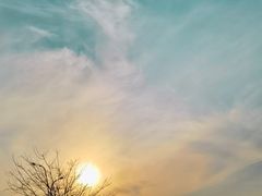 -艾溪湖湿地公园
