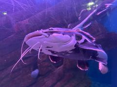 -蓬莱欧乐堡海洋极地世界