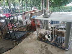 -马陆小张葡萄园农家乐