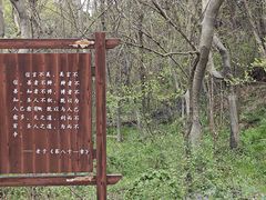 -句容茅山景区