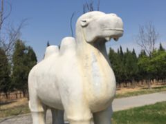 -明鲁王陵