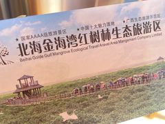 -北海金海湾红树林生态旅游区