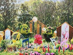 -上海共青森林公园