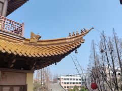 -南汇桃花村