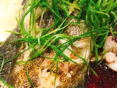 清蒸石斑鱼-海儀美食楼(湾仔海鲜街店)