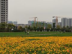 -映月湖中央公园