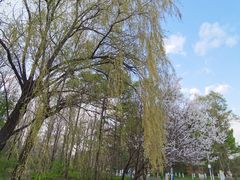 -黑龙江省森林植物园