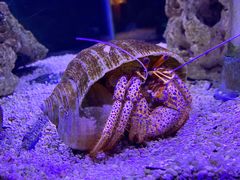 -太平洋海底世界