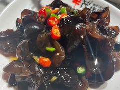 爽口木耳-丰茂烤串(港旅店)