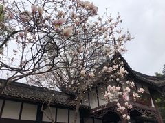 -望江楼公园