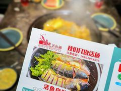 -肥鱼屯活鱼锅(惠工街店)