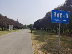-汉景帝阳陵博物院