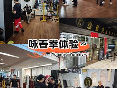 -温鉴良实用咏春拳