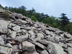 -朱雀国家森林公园