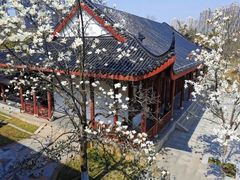 -堤角公园