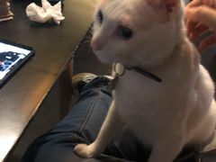 -Doors独立剧情密室(东门分店)