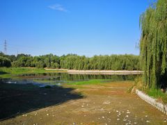 -东坝千亩湖公园