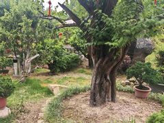 -万景茶庄·台州菜