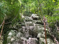 -王顺山国家森林公园